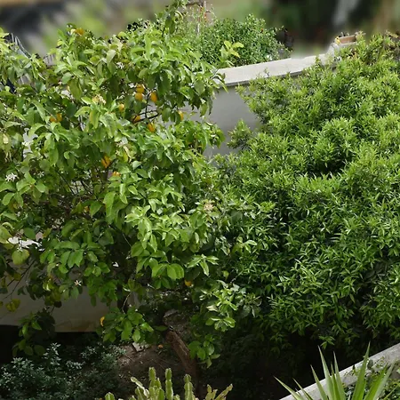 Katospedi House 公寓 莱切